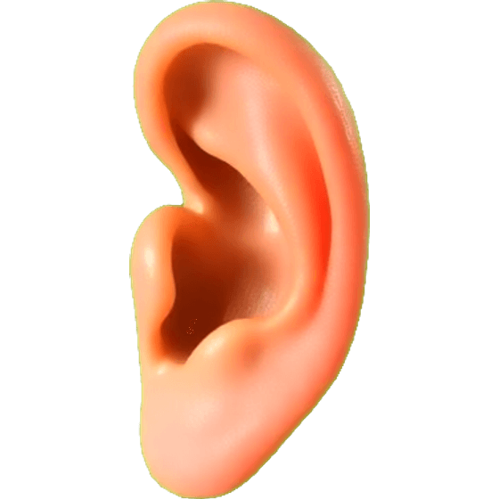 an ear