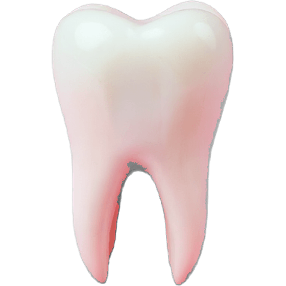 a tooth