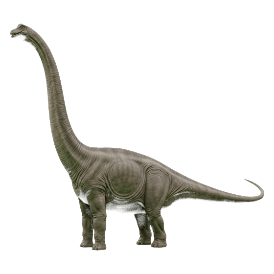 brachiosaurus