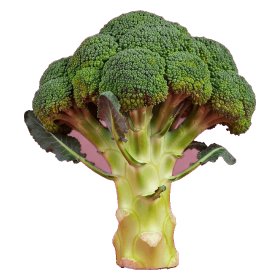 broccoli