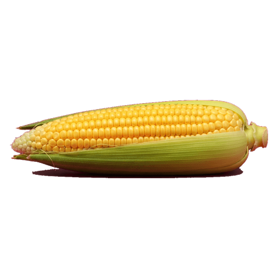 corn
