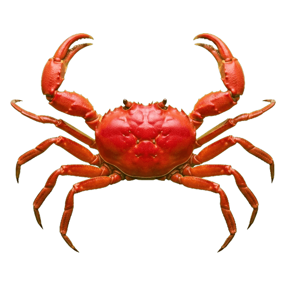 crab