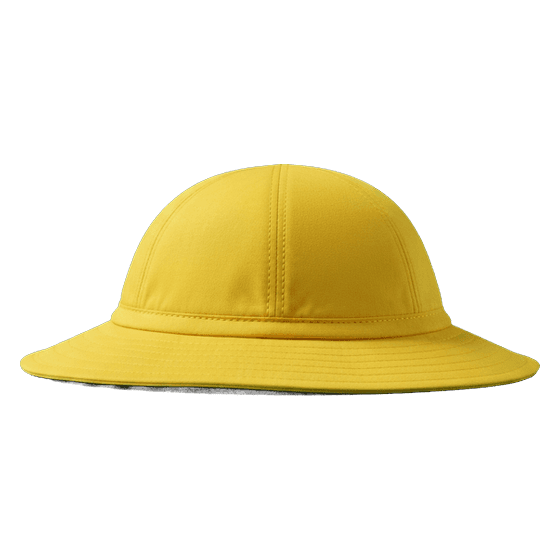 a hat