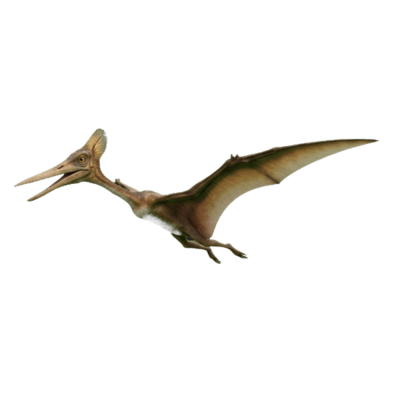 a pterodactyl