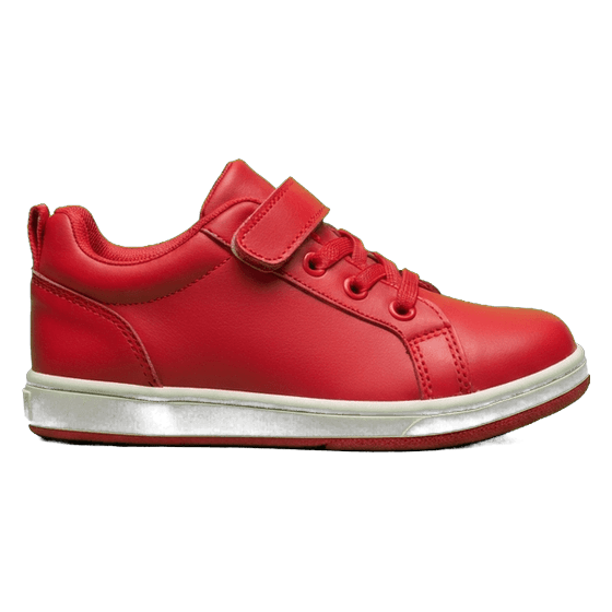 a shoe