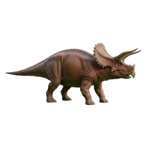 triceratops