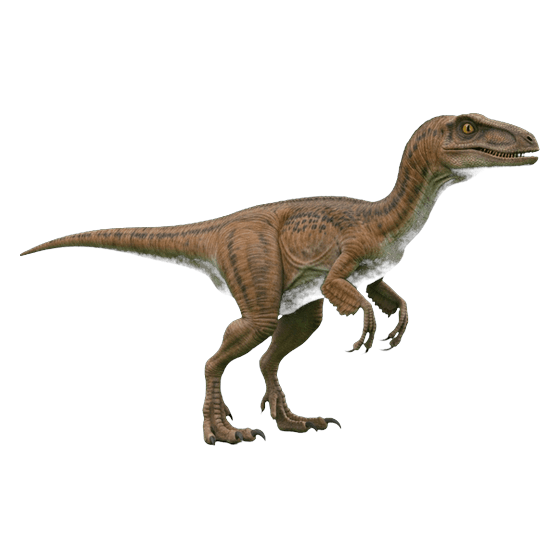 velociraptor